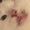 Логотип телеграм канала @dorozhnikot — Дорожник