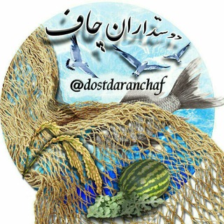 لوگوی کانال تلگرام dostdaranchaf — 🍉دوستداران چاف(چافیها)