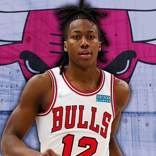 Логотип телеграм канала @dosunmusdreds — Дреды Досунму | Chicago Bulls