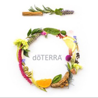 Логотип телеграм канала @doterraotzovik — Отзывы по продукции dōTerra