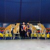 Логотип телеграм канала @dovgalyuk_animals — Виталий и Виктория Довгалюк