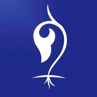 Логотип телеграм канала @dovodi_fikh — Доводы (Фикх)