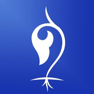 Telegram channel ДОВОДЫ logo