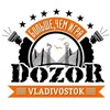 Логотип телеграм канала @dozorvl — DozoRVL