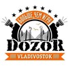 Logo of telegram channel dozorvl — DozoRVL