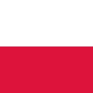 Логотип телеграм -каналу dp_polsko — ДП Документ Польща, Варшава   Вроцлав   Краків   Гданськ