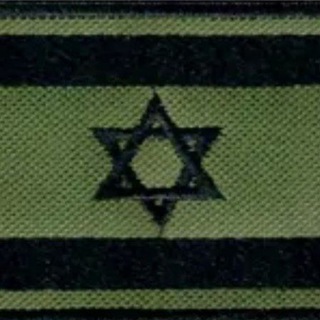 Логотип телеграм -каналу dprinfantry — 1.infantry