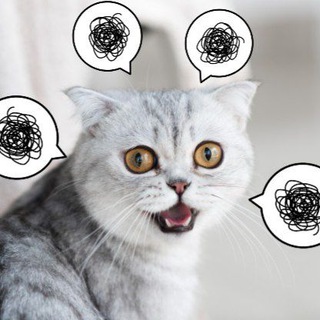 Логотип телеграм канала @drab_cat — Серый кот