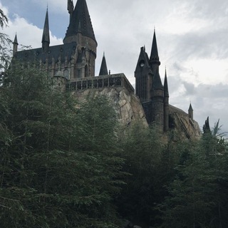 Логотип телеграм канала @dracopovssss — 𝐇𝐨𝐠𝐰𝐚𝐫𝐭𝐬 𝐏𝐎𝐕🦉