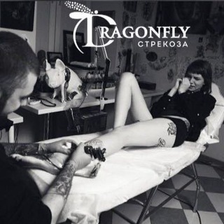 Логотип телеграм канала @dragonflystudio_msk — Dragonfly Studio Тату и Перманентный макияж