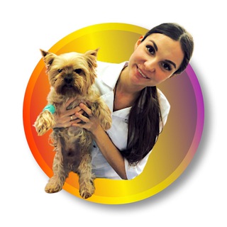 Логотип телеграм канала @drbunkova — Ветеринарный врач Бунькова