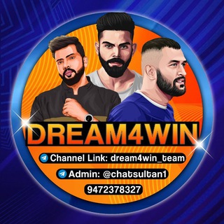 Logo saluran telegram dream4win_team — DREAM4WIN™ ( DOMESTIC SPECIALIST)
