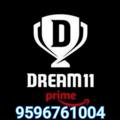 Logo saluran telegram dream_11_officialxx — DREAM_11_OFFICIAL