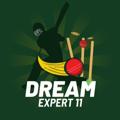 Logo de la chaîne télégraphique dreamkingexpert11 - Dream Expert 11 ️