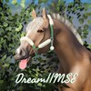 Логотип телеграм канала @dreammse — Dream||S.T.W 17 