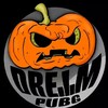 Логотип телеграм канала @dreampubg — DreamPubg🎃