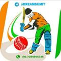 Logo saluran telegram dreamsumit — Dream Sumit™ (Sports Expert)