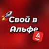 Логотип телеграм канала @dreamteam_alfa — Свой в альфе | DreamTeam
