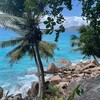 Логотип телеграм канала @dreamtripchannel — DreamTrip