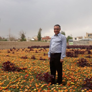 لوگوی کانال تلگرام dremadibaygi — مجتبی عمادی بایگی