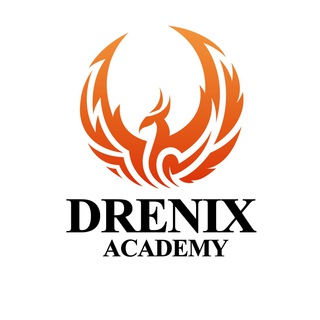 Telegram kanalining logotibi drenixacademy — DRENIX IT ACADEMY