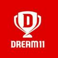 Logo saluran telegram dreqm_11_fantasy_cricket_team — FANTASY DREAM CRICKET TEAMS