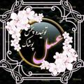 Telegram channel تولید و پخش پوشاک عسل logo
