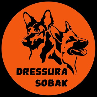 Логотип телеграм канала @dressura_sobak — dressura.sobak