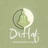 Логотип телеграм канала @drhaf38 — Доктор Хаф/Dr.Haf