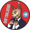 Логотип телеграм канала @driftbaldman — Driftbaldman