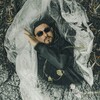 Логотип телеграм канала @drimlinglife — Макс Дримлинг 🐈‍⬛
