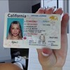 Logo of telegram channel driverslicenseandpassport1 — Documents (DL, SSN, PASS) USA
