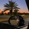 Логотип телеграм канала @drivevkaif — AutoPeople