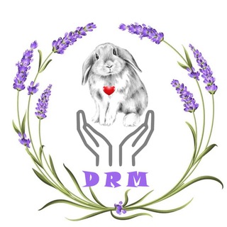 Логотип телеграм канала @drm_irina — DarlingRabbitsMafia