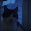 Логотип телеграм -каналу drmlost — блик пустоши