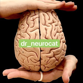 Логотип телеграм канала @drneuroshark — NEUROshark 🦈