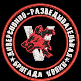 Логотип телеграм канала @dro_wolves — 1-я ДРШБр Волки 🐺