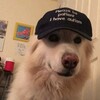 Логотип телеграм канала @dronenotdrones — пО)))следняя пёсня