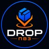 Логотип телеграм канала @droppvz — DROP | ПВЗ WB