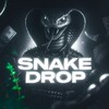Логотип телеграм канала @dropsnake — SNAKE DROP