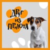 Логотип телеграм канала @drug_iz_priyuta — Друг из приюта 🐾