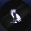 Telegram channel BLACK TIPS🎖️ logo