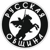 Логотип телеграм канала @druginaromitihi — Канал Дружина Русской Общины (Мытищи)