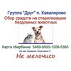 Логотип телеграм канала @drugkavalerovo — Drug
