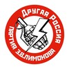 Логотип телеграм канала @drugoros_spb — ЛЕНИНГРИБ 🅉 (нацболы)
