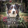 Logo of telegram channel drunk_dogu — 𝑫𝑹𝑼𝑵𝑲_𝑫𝑶𝑮𝑺ᵒᶠᶠ