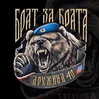 Telegram channel Дружина - Русский Щит logo