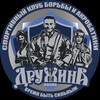 Логотип телеграм канала @druzhinagroup — Спортивный клуб «Дружина»