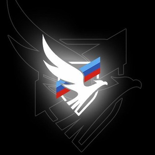 Логотип телеграм канала @druzhinalpr — Дружина Луганской Народной Республики