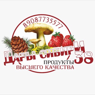 Логотип телеграм канала @dsi_38 — ДАРЫ СИБИРИ 38